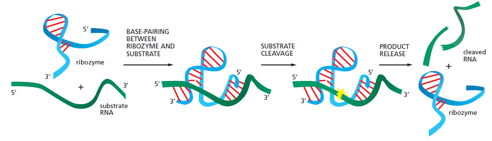 Figure 6-90.png